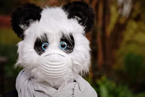 ΓΟΥΕΣΤ Καζίνο Υποστηριξη